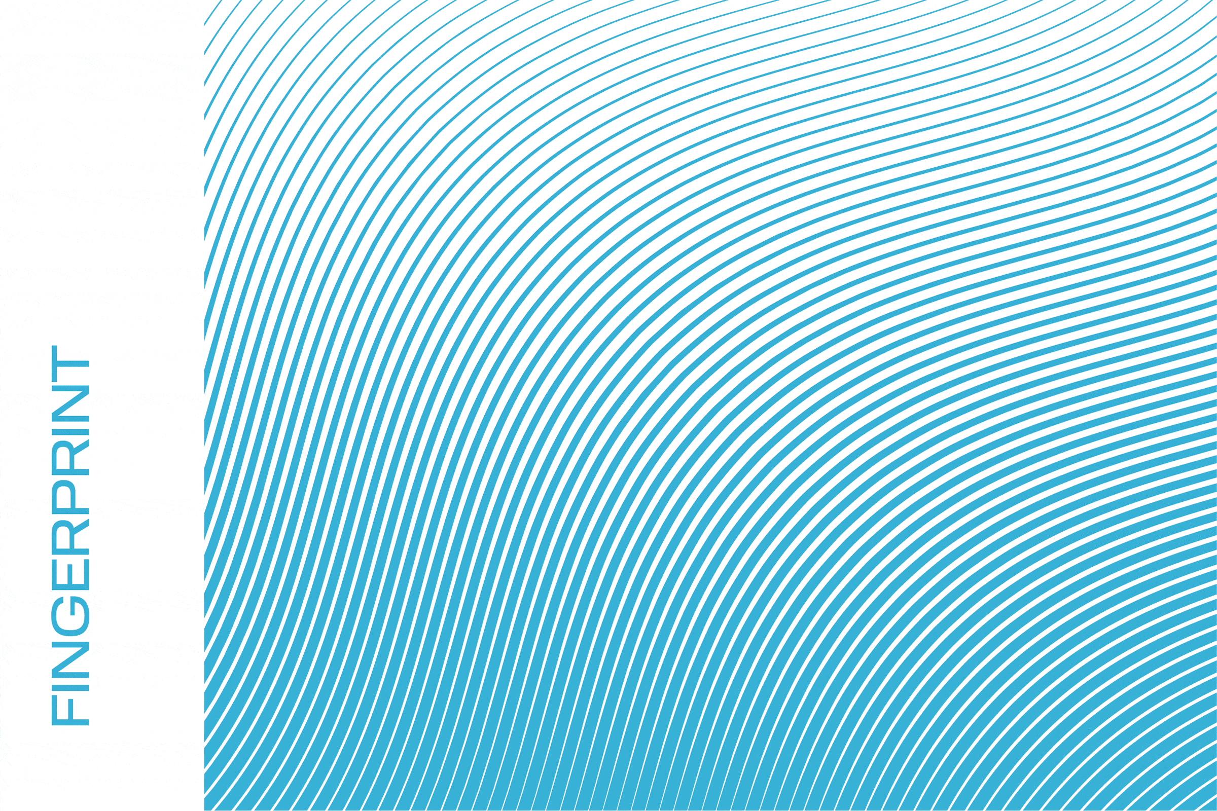 https://cms.ogilvy.lt/storage/app/media/Darbu-vizualai/widen-visual-id/widenogilvyportfolio4.gif